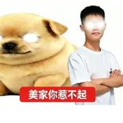 巡逻的