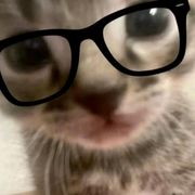 小杨