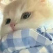 古希腊掌管古希腊的神