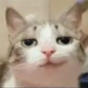 User11094842