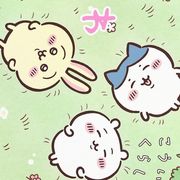 chiikawon