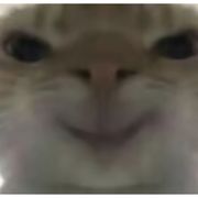 老鼠