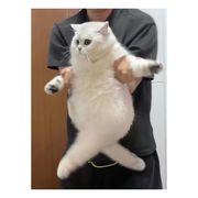 西行之人
