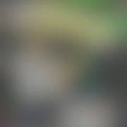。。