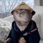 情鱼雨欲