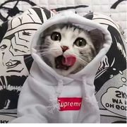 仰望星空এ⁵²º