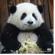 呀～