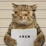 steve轩