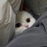 prejudice.