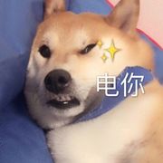 啊新新