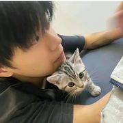 麻飞飞-