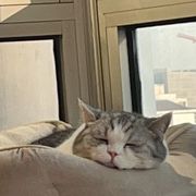 双眼皮的卷毛君