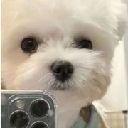 “脏脏”