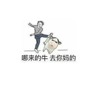 手机用户33022443