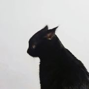 进修建成高级星球！
