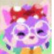 猫姐