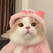 秋杪.