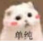 知期