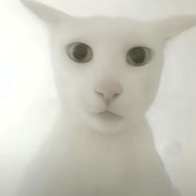 爱允永远不变