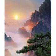 XL.小晨