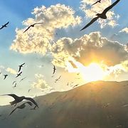 💤нёιιö💫☘️