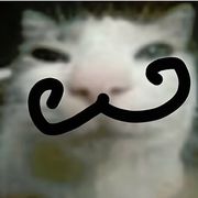 ？？？？？？？