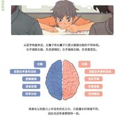 破灭之后的一枪