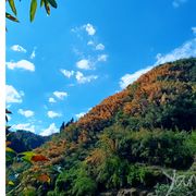 心意✺◟(∗❛ัᴗ❛ั∗)◞✺