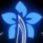 蓝色乌头花