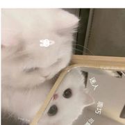思无邪