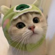 卡布奇诺