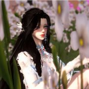 愿小白阿栩小幸运平安幸福