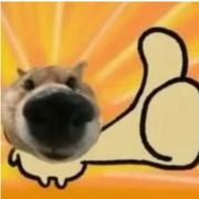 锅老师👨🏻‍🏫