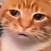 哒哒