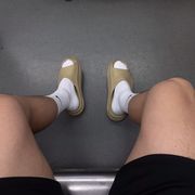 木贼