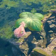 蒼蘭的章鱼喵™