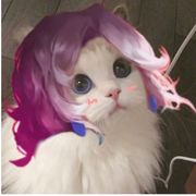 落羽