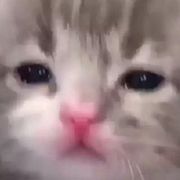 嘣咔咔