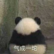 理想主义者