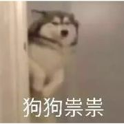 凝点点