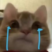 ³⁹度的风