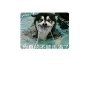 心域
