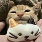 炸鸡奶茶脑