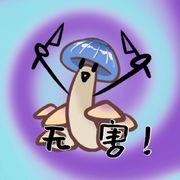 纯天然无污染蘑菇