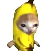 聚光灯 - 香蕉猫不相信眼泪