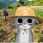 泡泡糖