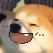 鱼摆摆