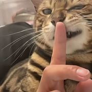 ⁡⁤⁡⁤⁡⁤⁡⁤⁡⁤⁡⁤⁡⁤晚