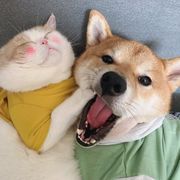 兜兜里没有糖了