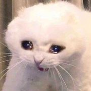 推琴酒黑瞎子呼尔塔